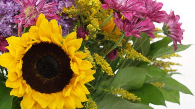 Poletno cvetje v dom prinaša svežino.