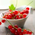 Naužijmo se okusnih in zdravih jagod sveže obranega ribeza. (Foto: Shutterstock)