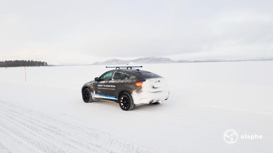 Elaphe | Avtor: Elaphe