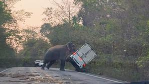 Slon prevrnil kombinirano vozilo