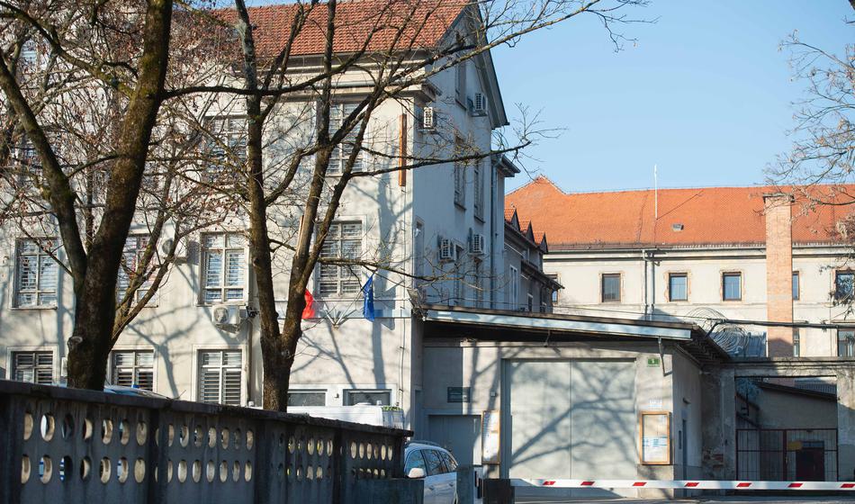 Med sprehodom pobegnil iz zapora na Povšetovi, nato je grizel