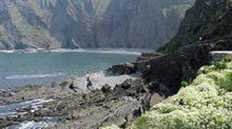 Britanska obalna straža poroča, da je voznik avtomobila zapeljal v 61 metrov glo