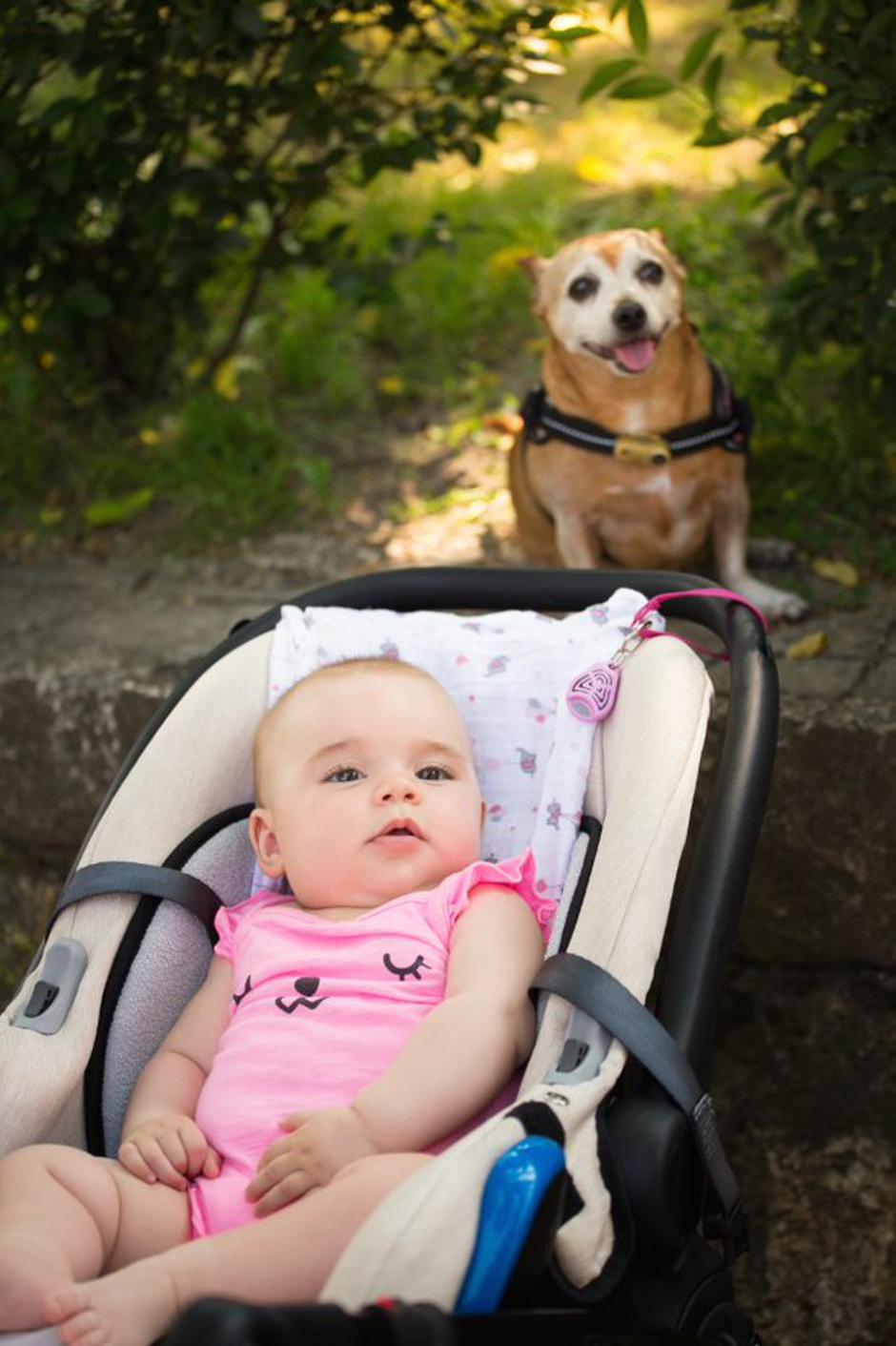 Tickless | Avtor: Tickless