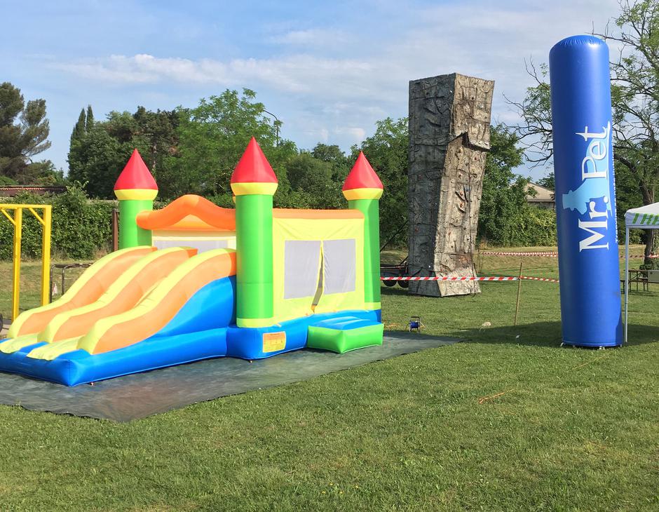 Festival | Avtor: Žurnal24 