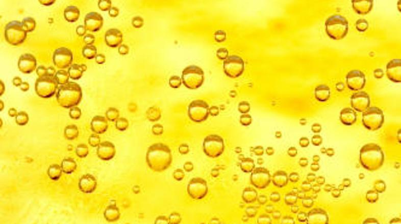 Komarje naj bi pritegnila koža ljudi, ki pijejo pivo.