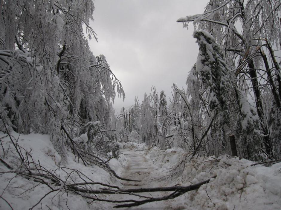 Valerija Verhovnik | Avtor: Kmetija NašRaj