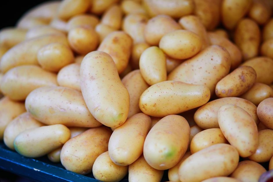 Krompir | Avtor: Profimedia