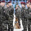 vojaki_kosovo_170209_reuters