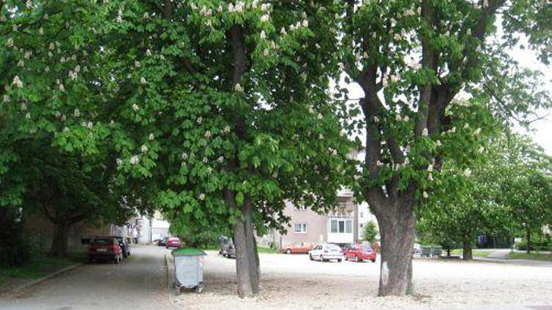 Na idilični lokaciji sredi mesta se skrivajo zanikrna stanovanja.