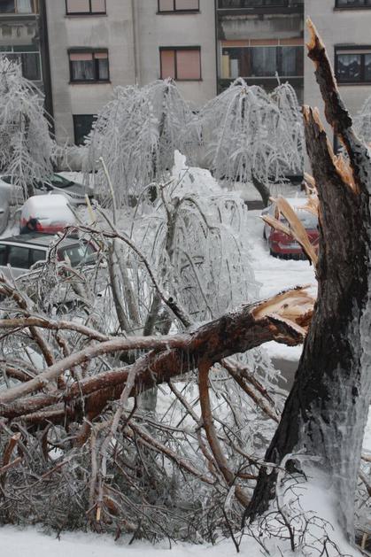 Snežna ujma v Postojni