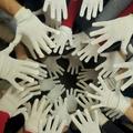 Civilni odbor Bele rokavice