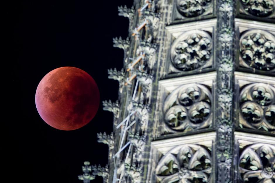 Krvavo rdeći lunin mrk | Avtor: EPA