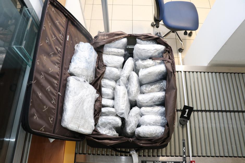 zaseg konoplja | Avtor: SKP PU Maribor