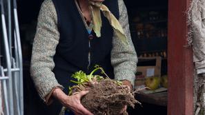 stara gospa upokojenci upokojenka revščina ostareli ostarela