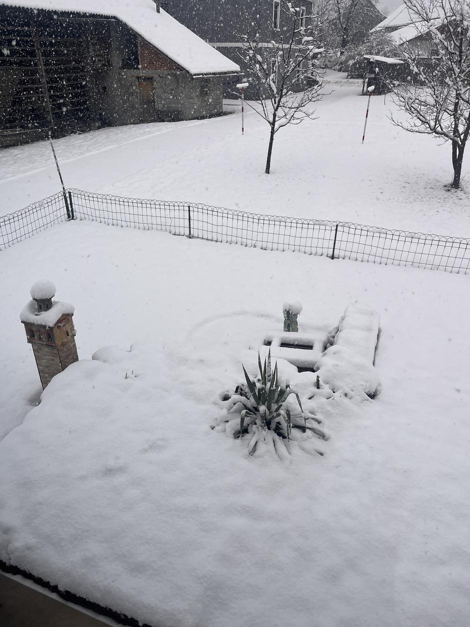 Sneg | Avtor: Žurnal24 