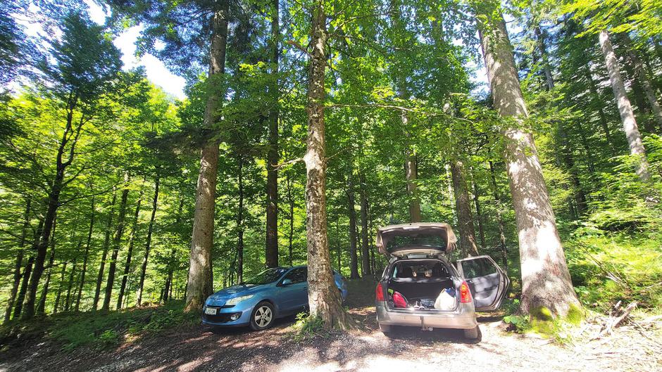 dolina Kamniške Bistrice | Avtor: Google Maps