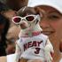 čivava Wade dres pes očala Miami Heat parada proslava naslov NBA