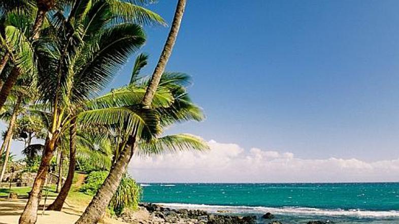 Havajske plaže so vedno pri vrhu različnih lestvic najlepših plaž. Tokrat tiste 