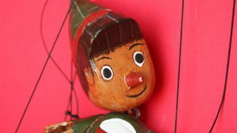 Ostržku je nos zrasel hitro, mi pa lažemo počasi.