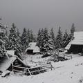 Velika Planina sneg