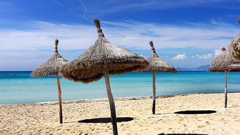 Tako podobni, tako različni? Med desetimi izbranci je tudi med Nemci zelo prilju