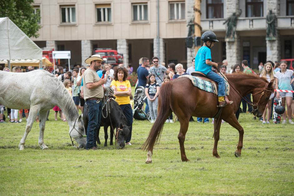 Dežela prijateljev | Avtor: Anže Petkovšek