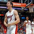 goran dragić miami heat