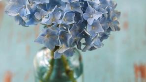 Dom bo prijetnejši tudi s svežim cvetjem. . (Foto: Shutterstock)