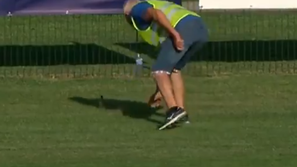 kača Nona Pomurje Beltinci