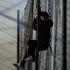 nogomet Maribor - Olimpija