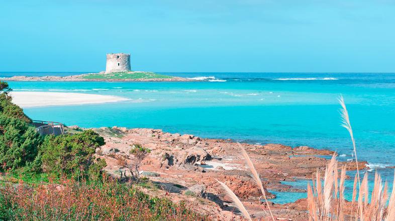  La Pelosa, Sardinija