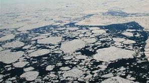 Ledena plošča je v zadnjem mesecu izgubila 22 kvadratnih kilometrov površine.