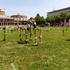 Festival za ljubitelje živali 2026