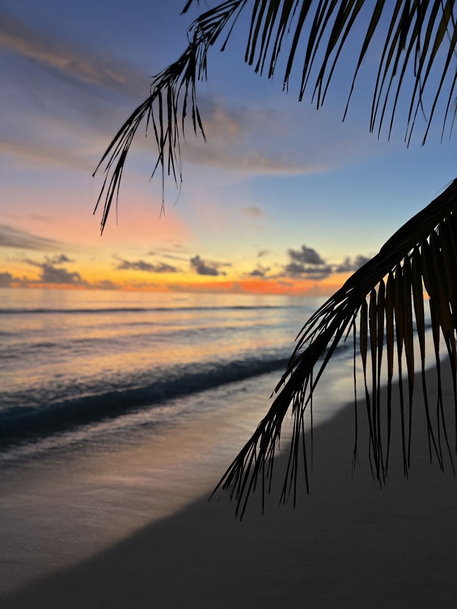 Maldivi | Avtor: eva doljak