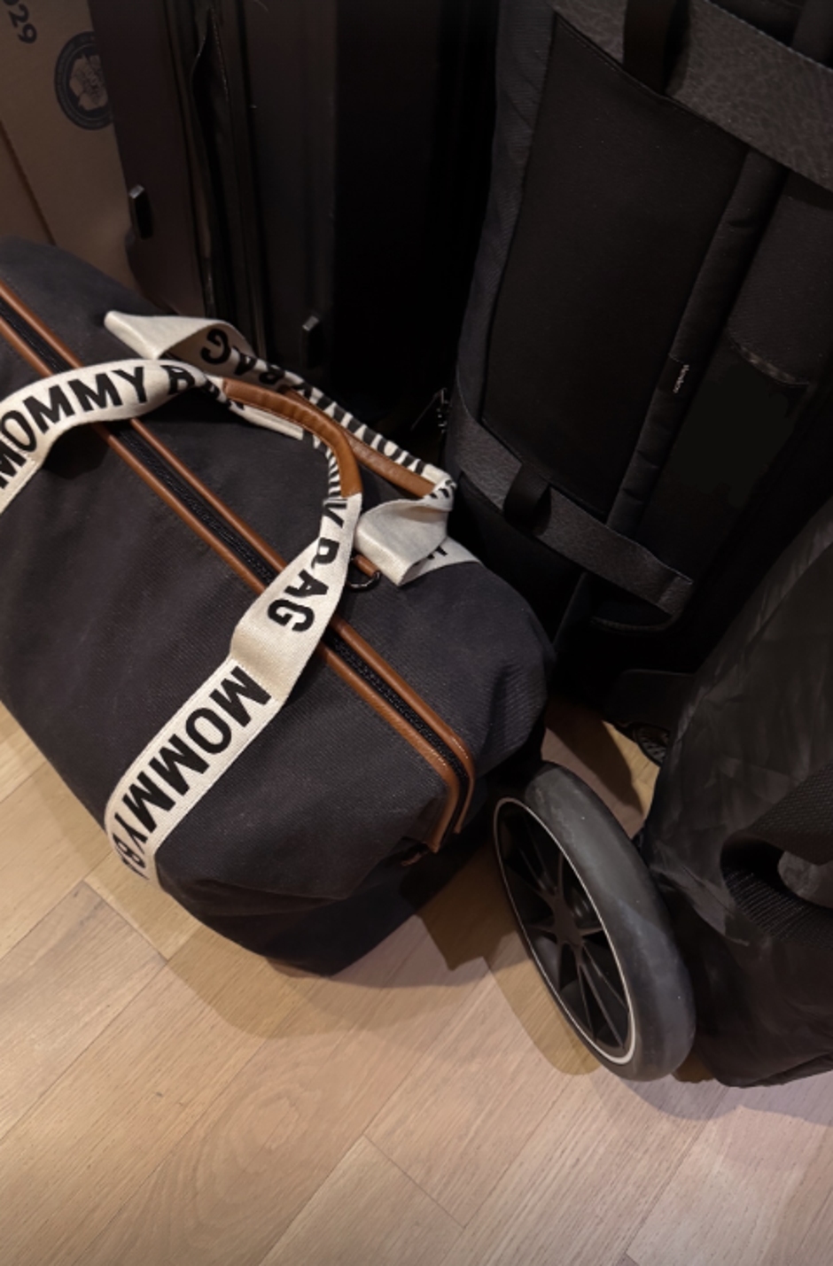 anamaria goltes | Avtor: Instagram