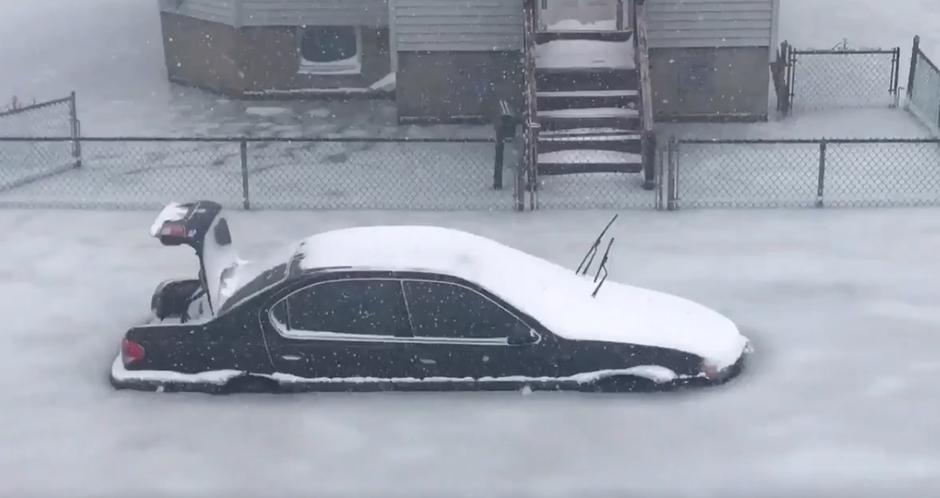 Snežni metež v Bostonu | Avtor: Reševalni pas/Twitter