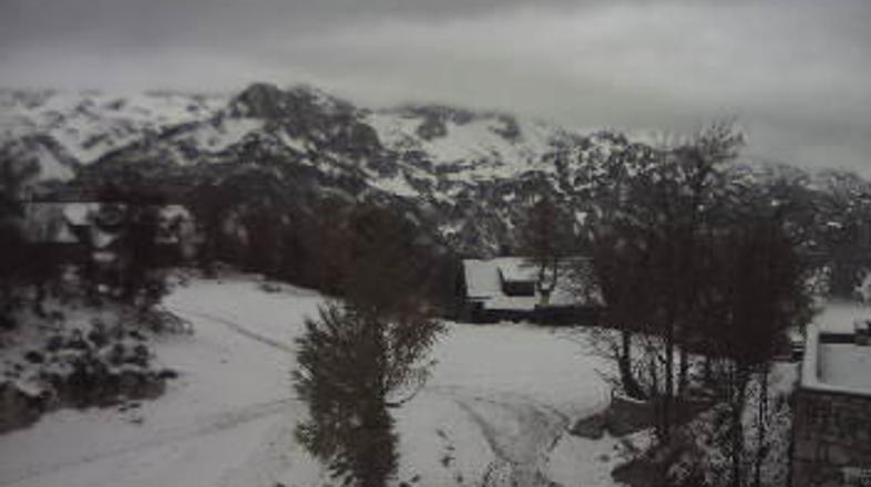 Takšne so današnje vremenske razmere na Voglu. (Foto: bohinj.si)