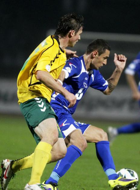 Litva Bosna in Hercegovina kvalifikacije za SP 2014 Salihović