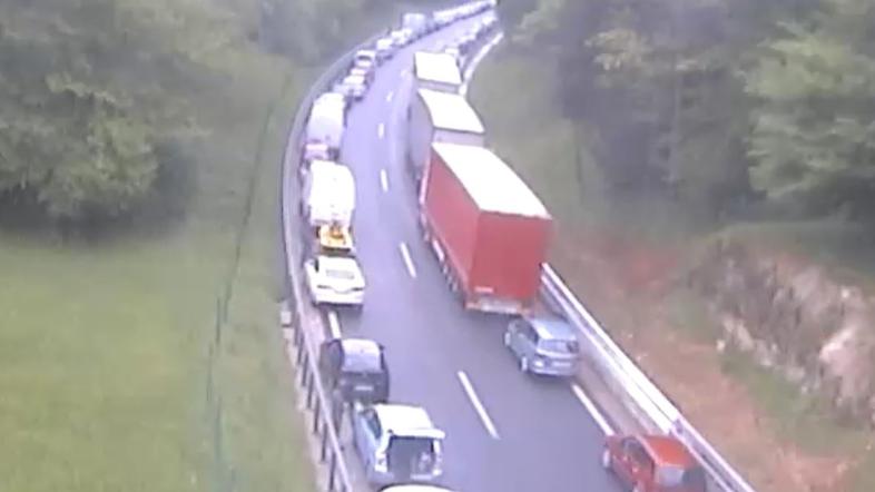 Reševalni pas po prometni nesreči