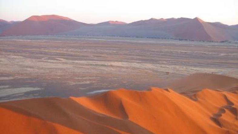 Po mnenju nekaterih naj bi bili v napad francoske družine vpletena tudi terorist