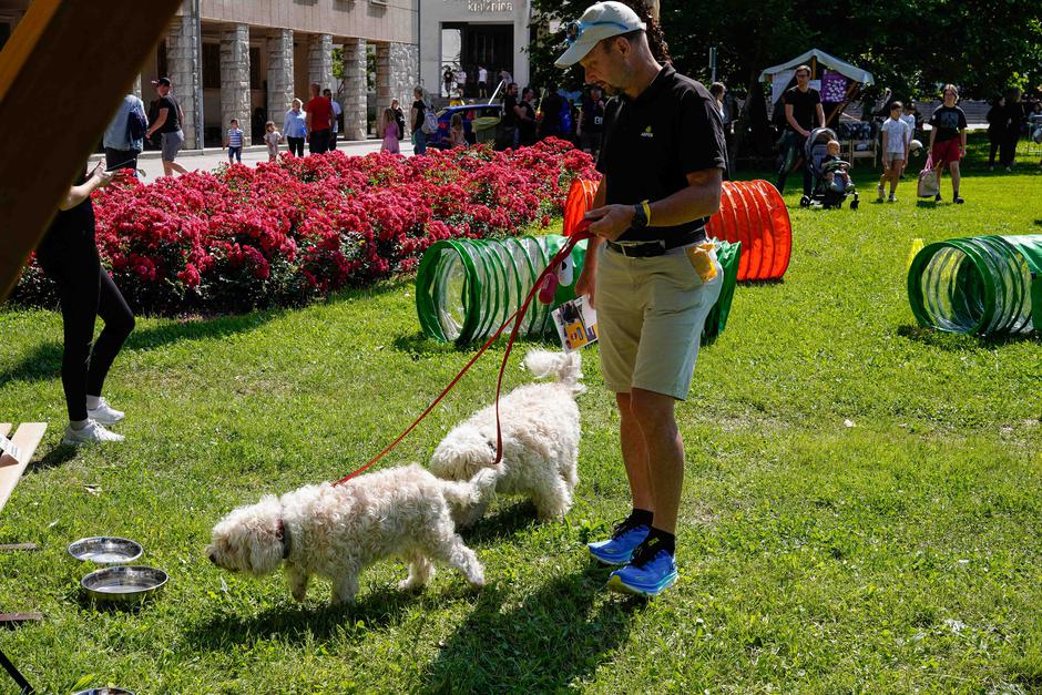 festival za ljubitelje živali | Avtor: Matija Janezic
