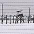 Auschwitz