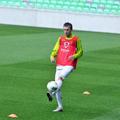 iličić trening stožice slovenija pred belgija 2011