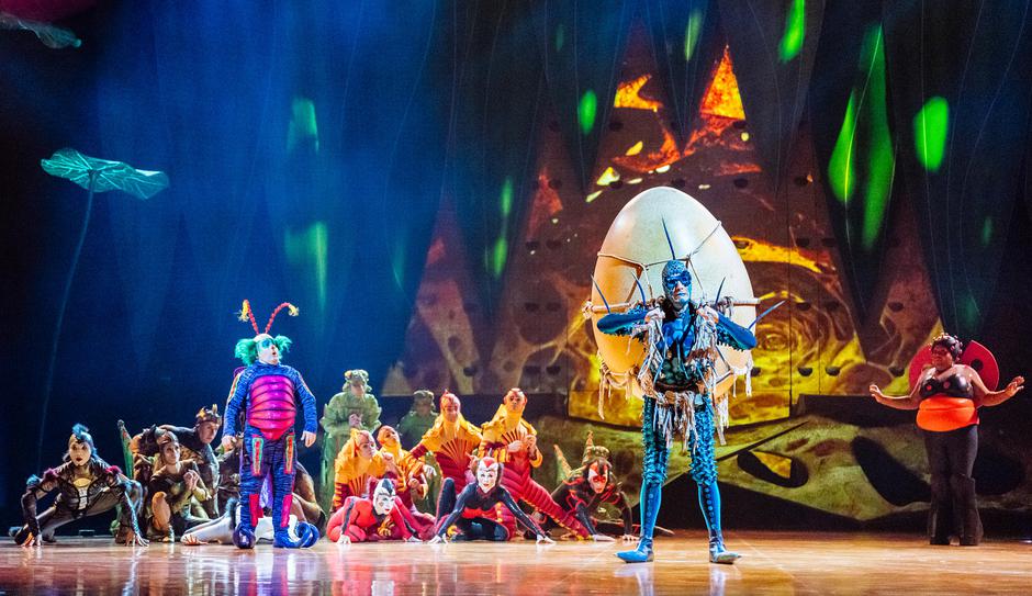 Cirque du Soleil, OVO | Avtor: Cirque du Soleil