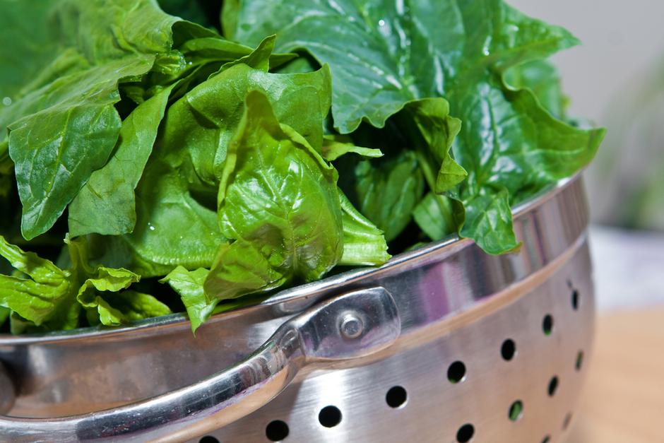 špinača | Avtor: Shutterstock