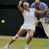 Flipkens Wimbledon OP Anglije grand slam
