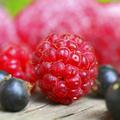 Po sadje in zelenjavo vam ni več treba h kmetu. (Foto: Shutterstock)