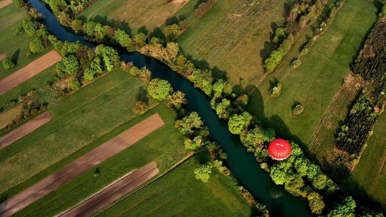 Od 1952 do 1990 je izginilo 40 odstotkov mokrišč. (Foto: Žurnal24)