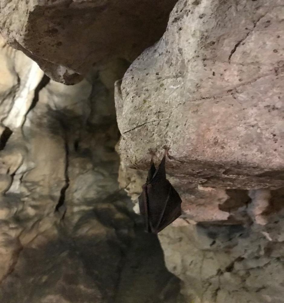 jama Pekel | Avtor: Žurnal24 