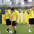 Borussia Dortmund Real Madrid Liga prvakov četrtfinale Hummels trava